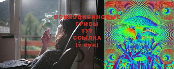 прущие крисы Балахна